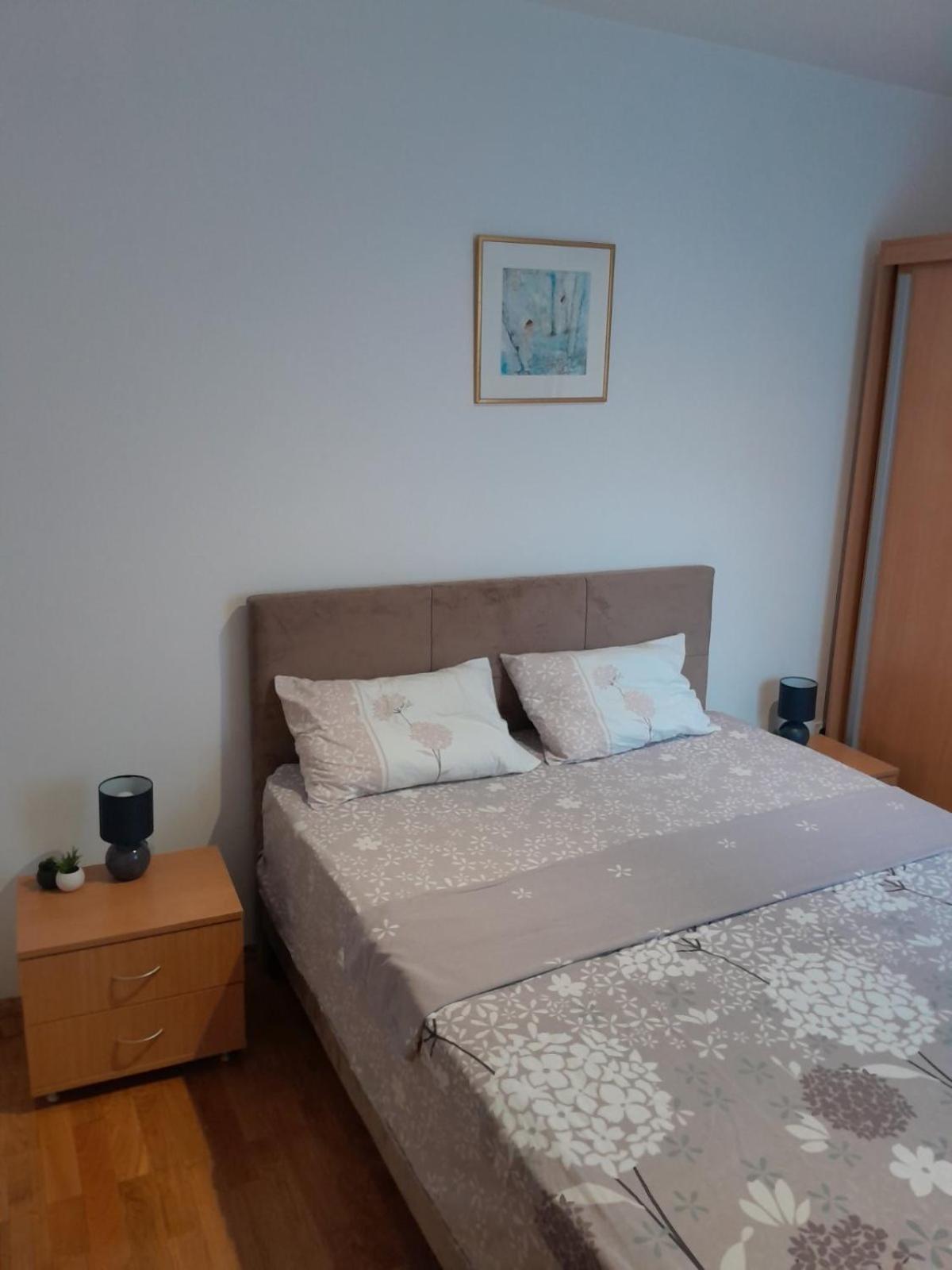 Apartman Klara Petrovac Exterior photo